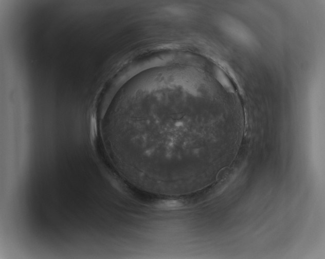 X0000102410061200808011616