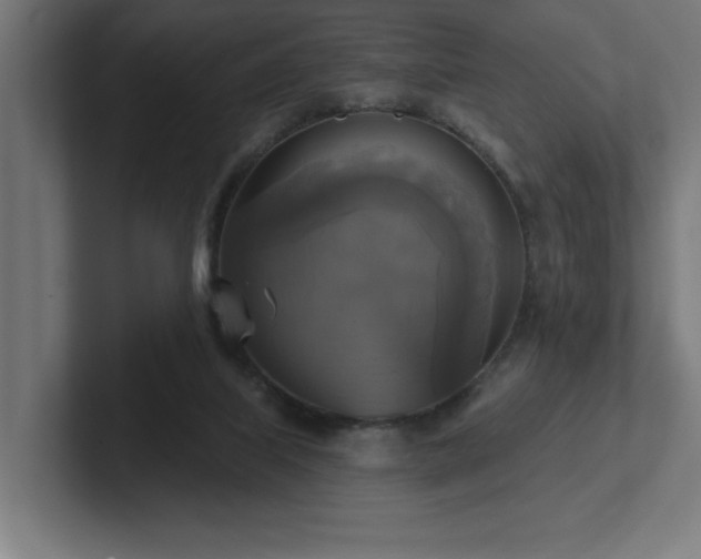 X0000102410067200808011616