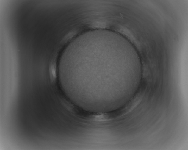 X0000102410068200808011616