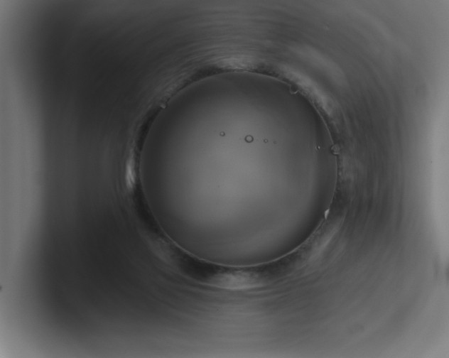 X0000102410069200808011616