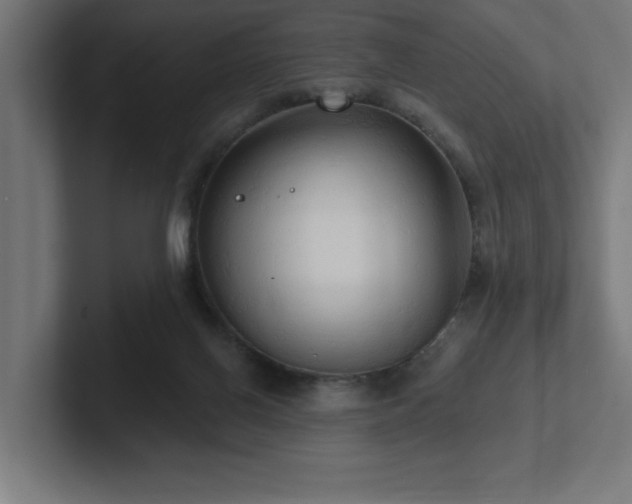 X0000102410070200808011616