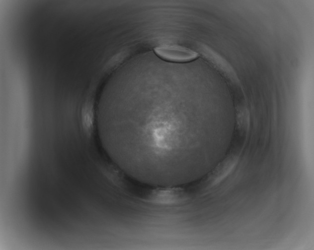 X0000102410072200808011616