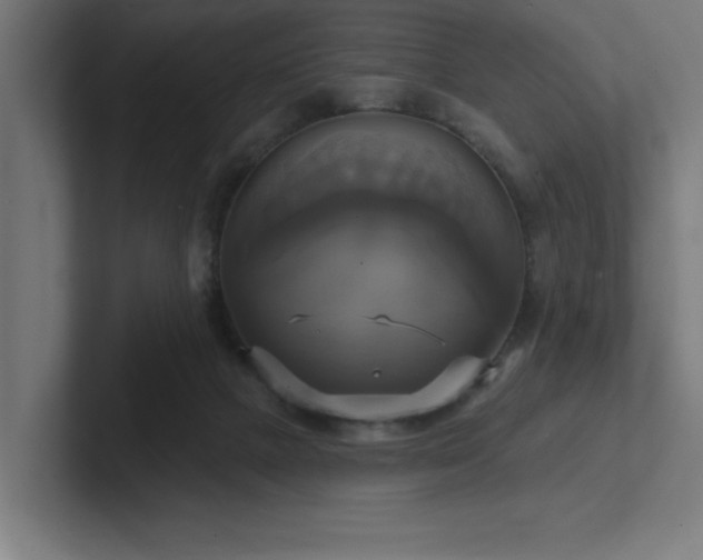 X0000102410073200808011616