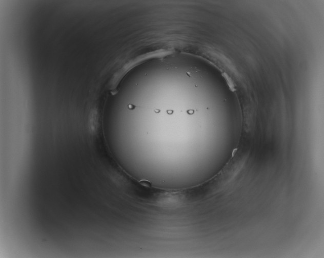 X0000102410077200808011616