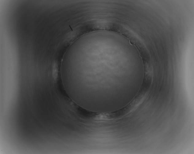 X0000102410080200808011617