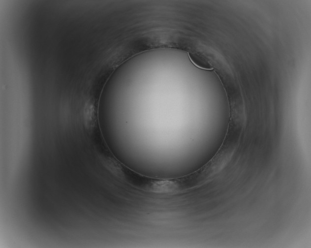 X0000102410087200808011617