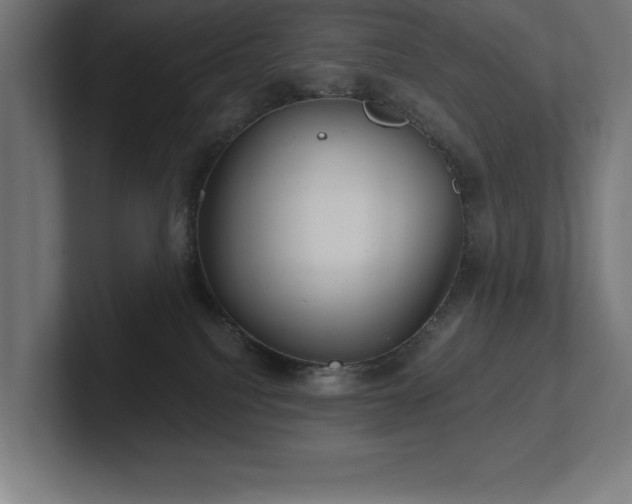 X0000102410088200808011617