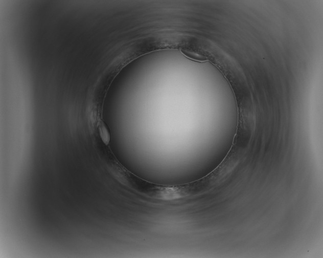 X0000102410091200808011617