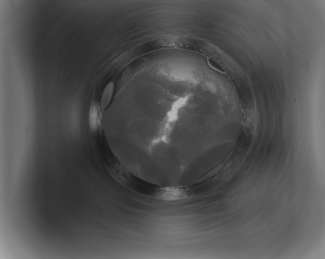 X0000102410095200808011617