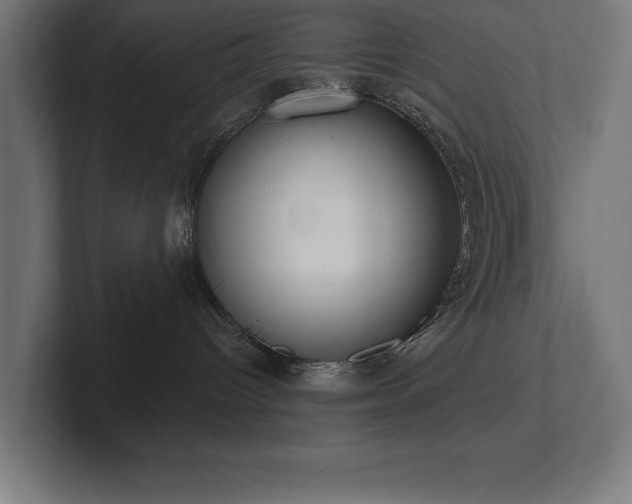 X0000102410096200808011617