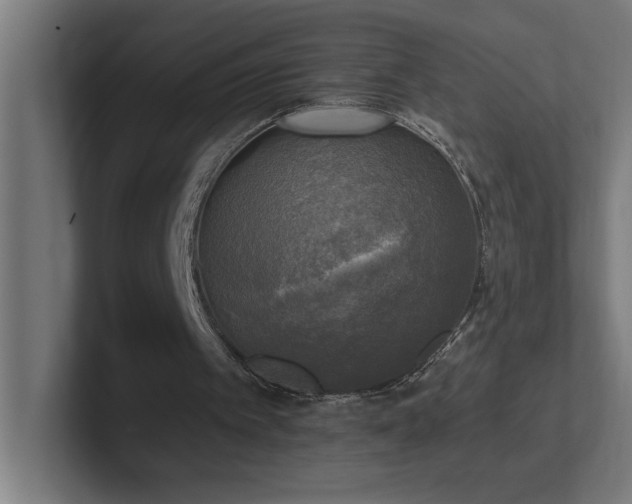 X0000102410097200808011616