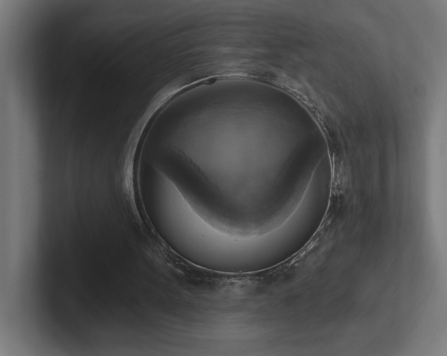 X0000102410099200808011616