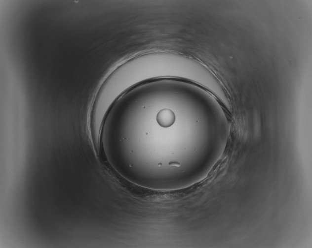 X0000102410100200808011616