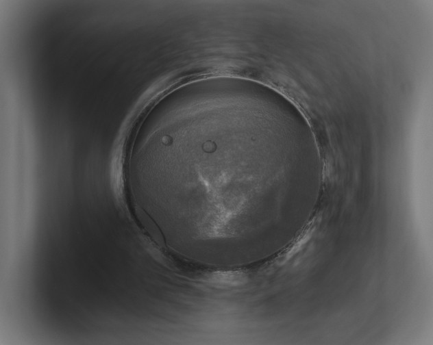 X0000102410101200808011616