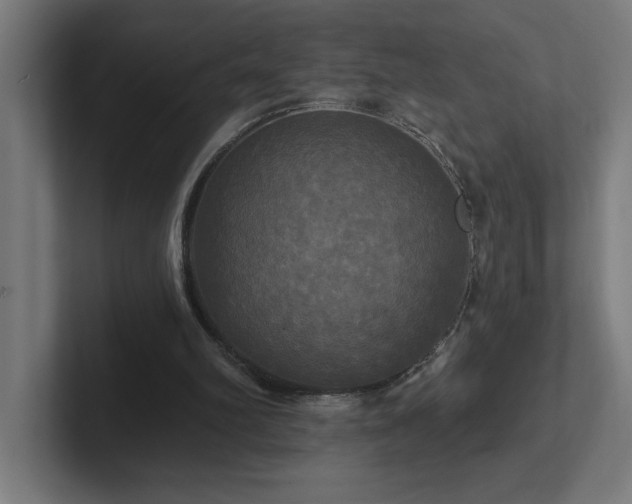 X0000102410102200808011616