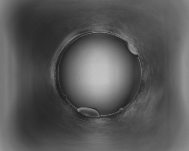 X0000102410103200808011616