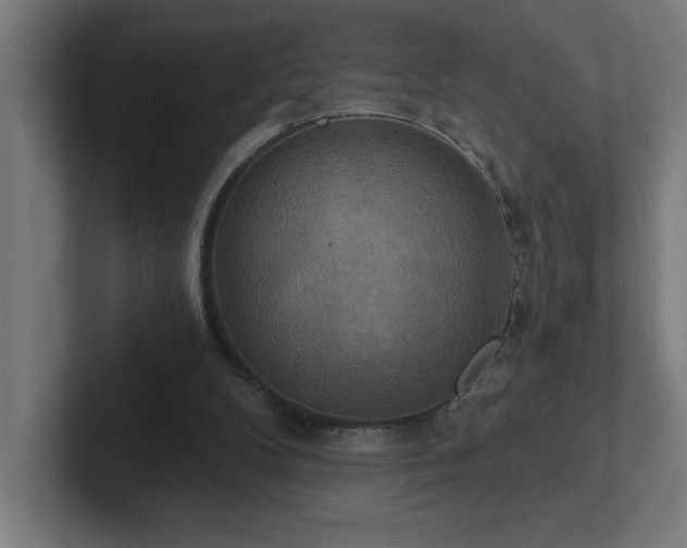 X0000102410104200808011616