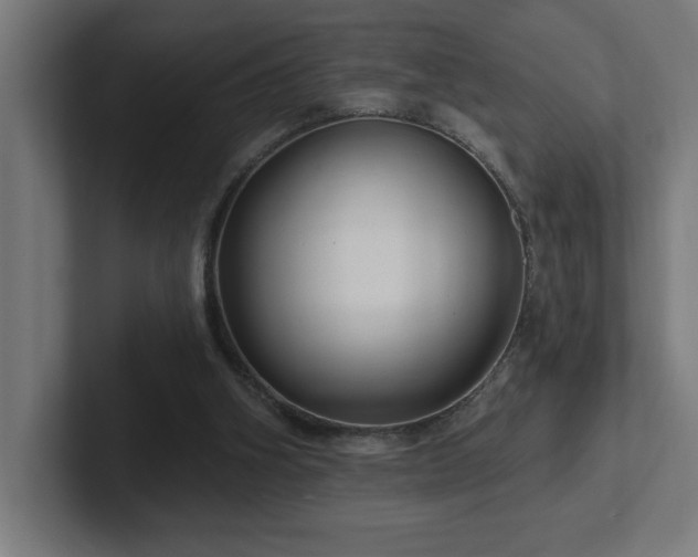 X0000102410106200808011616