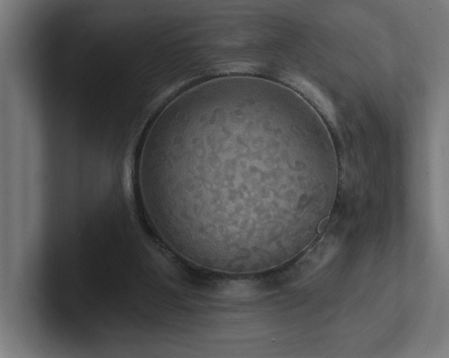 X0000102410107200808011616