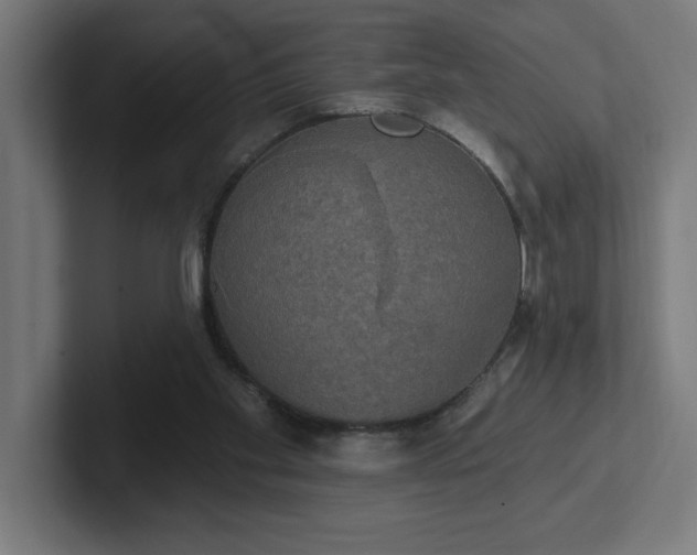 X0000102410109200808011616