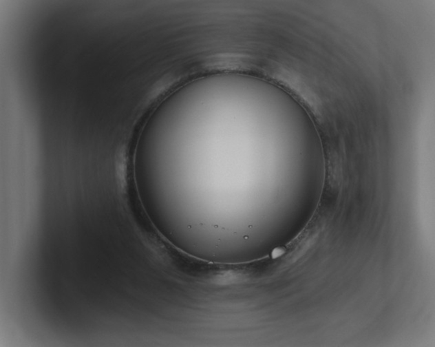 X0000102410111200808011616