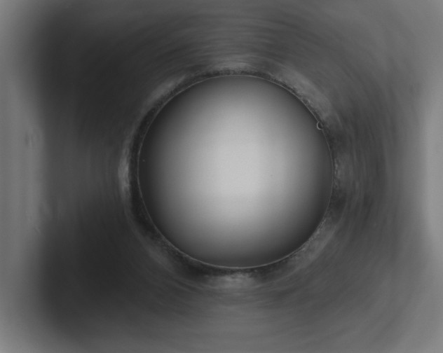 X0000102410112200808011616