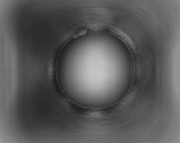 X0000102410113200808011616