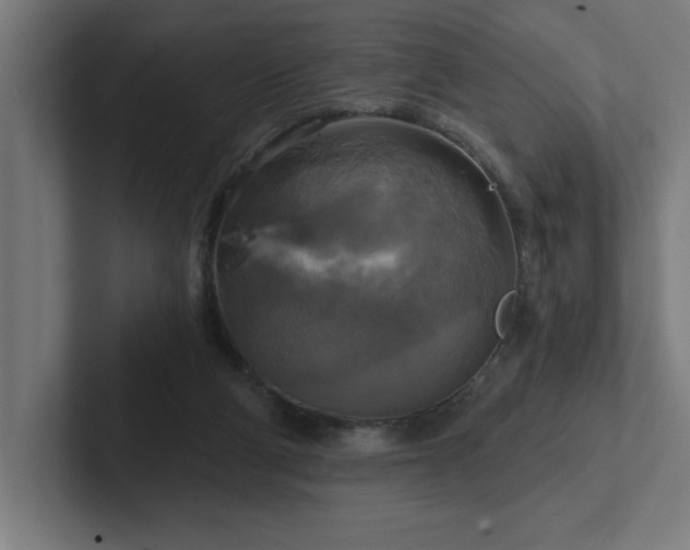 X0000102410114200808011616