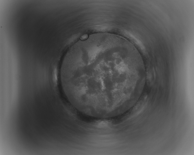 X0000102410115200808011616