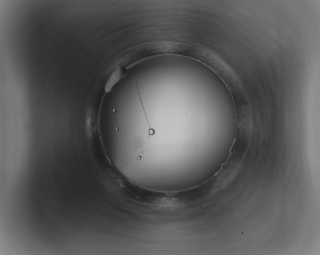 X0000102410119200808011616