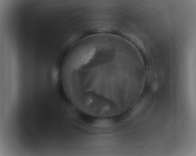 X0000102410123200808011616