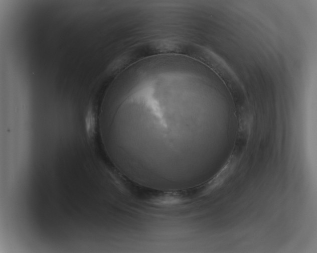 X0000102410124200808011616