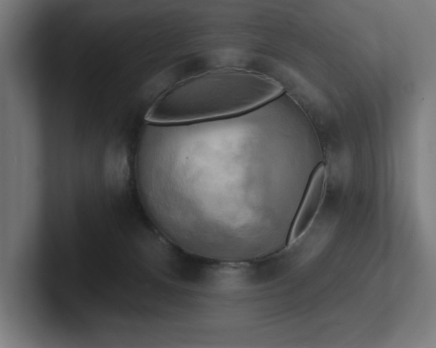 X0000102410128200808011616