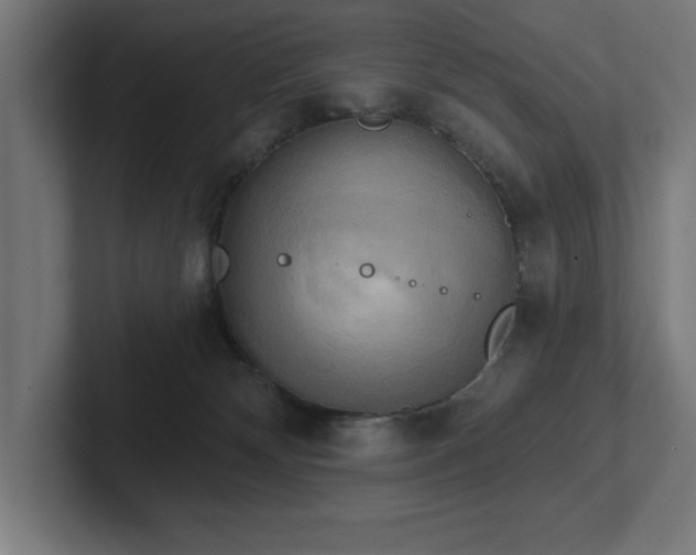 X0000102410132200808011616