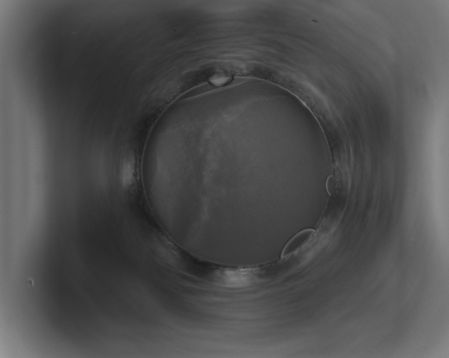 X0000102410134200808011616