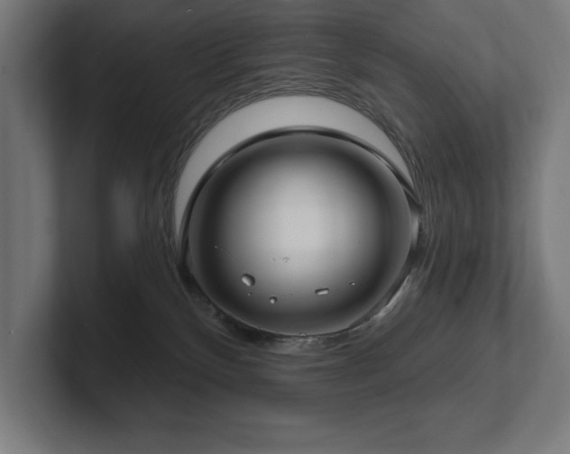 X0000102410136200808011616