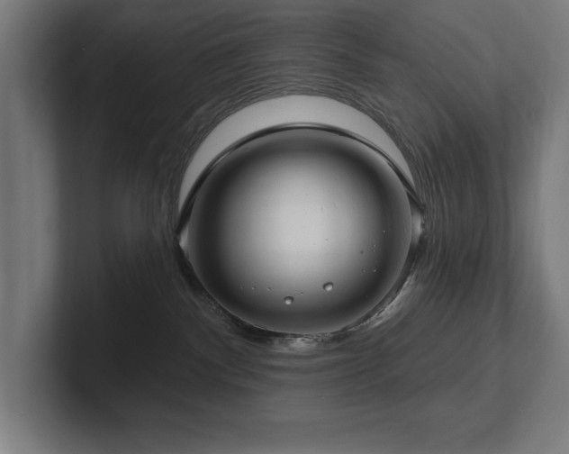 X0000102410140200808011616