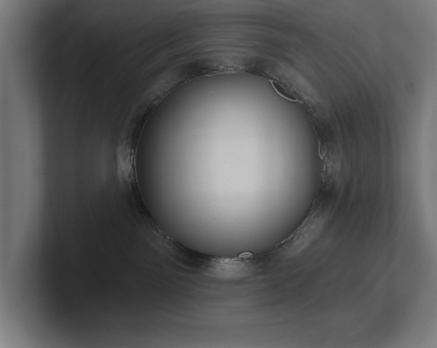 X0000102410141200808011616