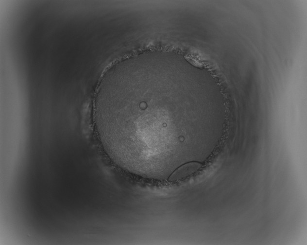 X0000102410144200808011615