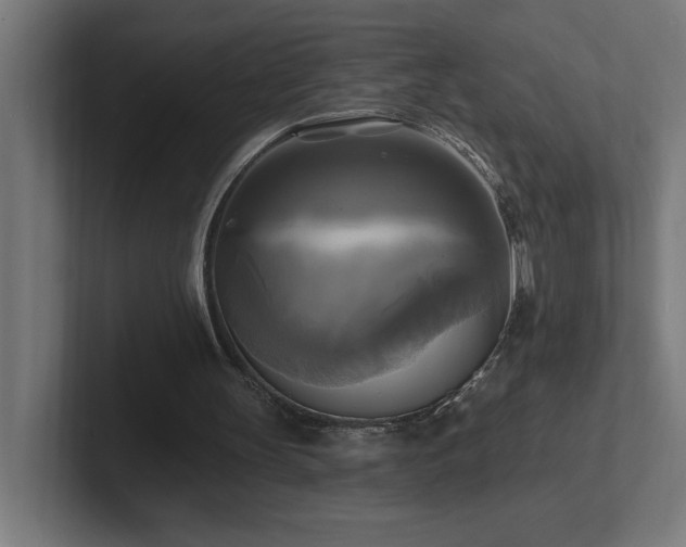 X0000102410147200808011615