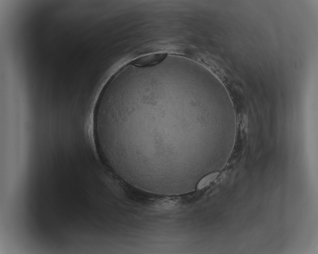 X0000102410148200808011615