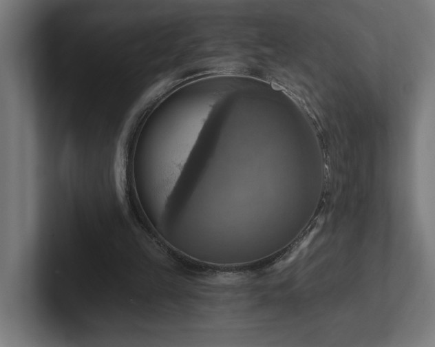 X0000102410149200808011615