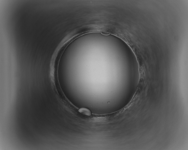 X0000102410150200808011615