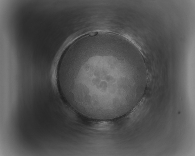 X0000102410151200808011615