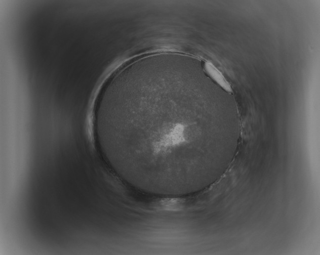 X0000102410152200808011615