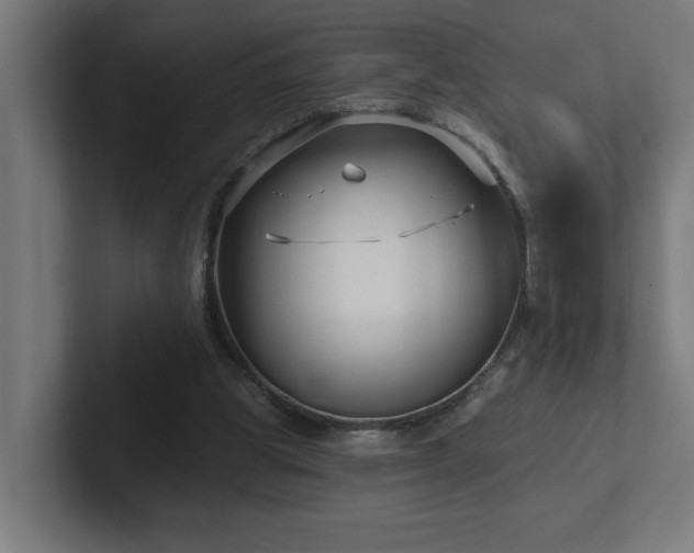 X0000102410153200808011615