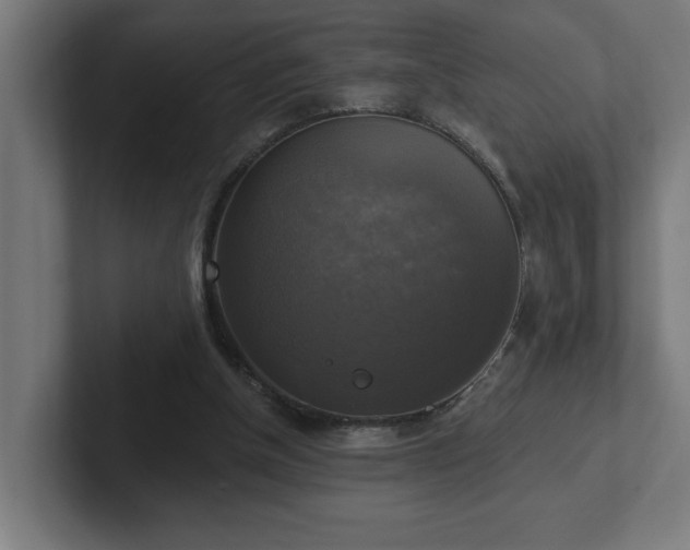 X0000102410154200808011615