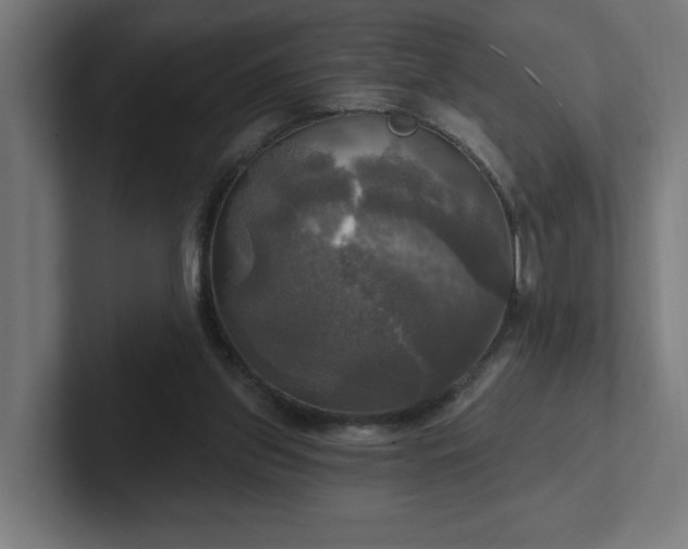 X0000102410157200808011615