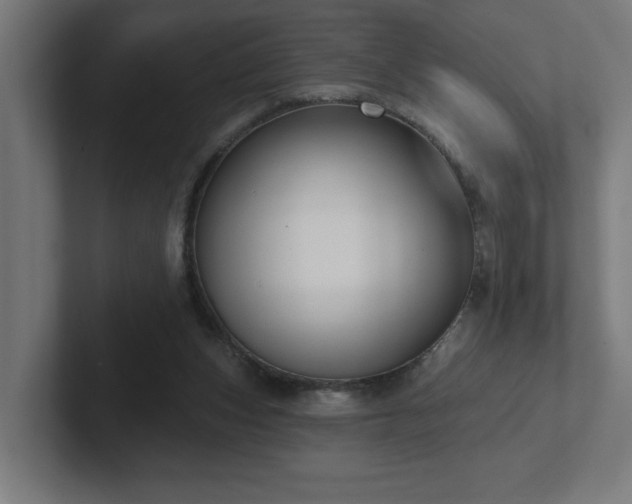 X0000102410159200808011615