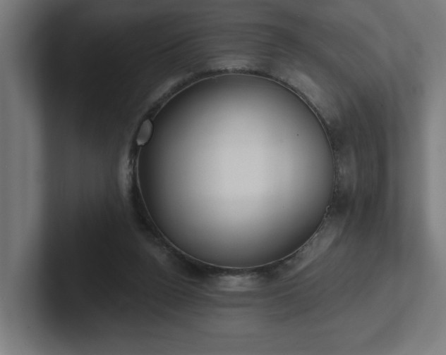 X0000102410160200808011615